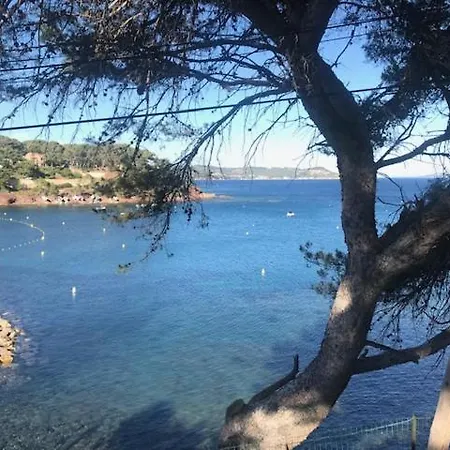 La Grande Bleue